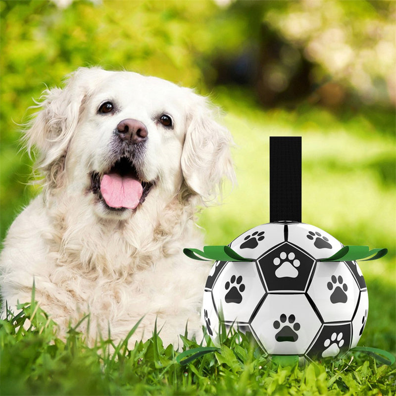 PawBall™ - Fotball For Hunder