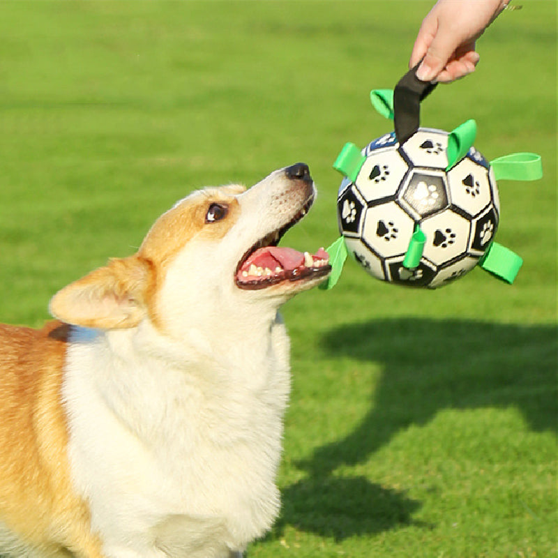 PawBall™ - Fotball For Hunder